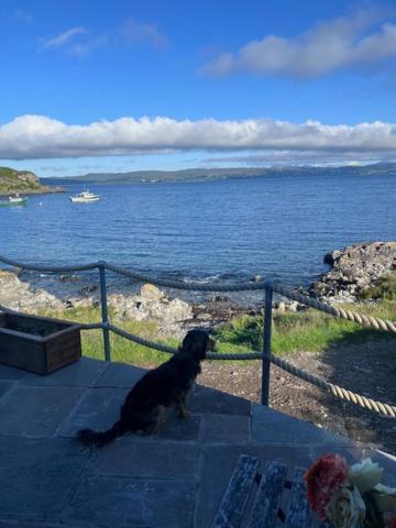 Doune Knoydart Mallaig Extérieur photo